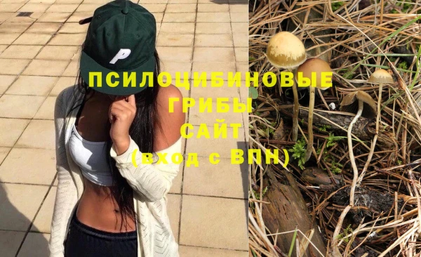 мефедрон Богородицк