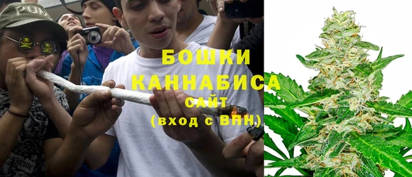 трава Богданович
